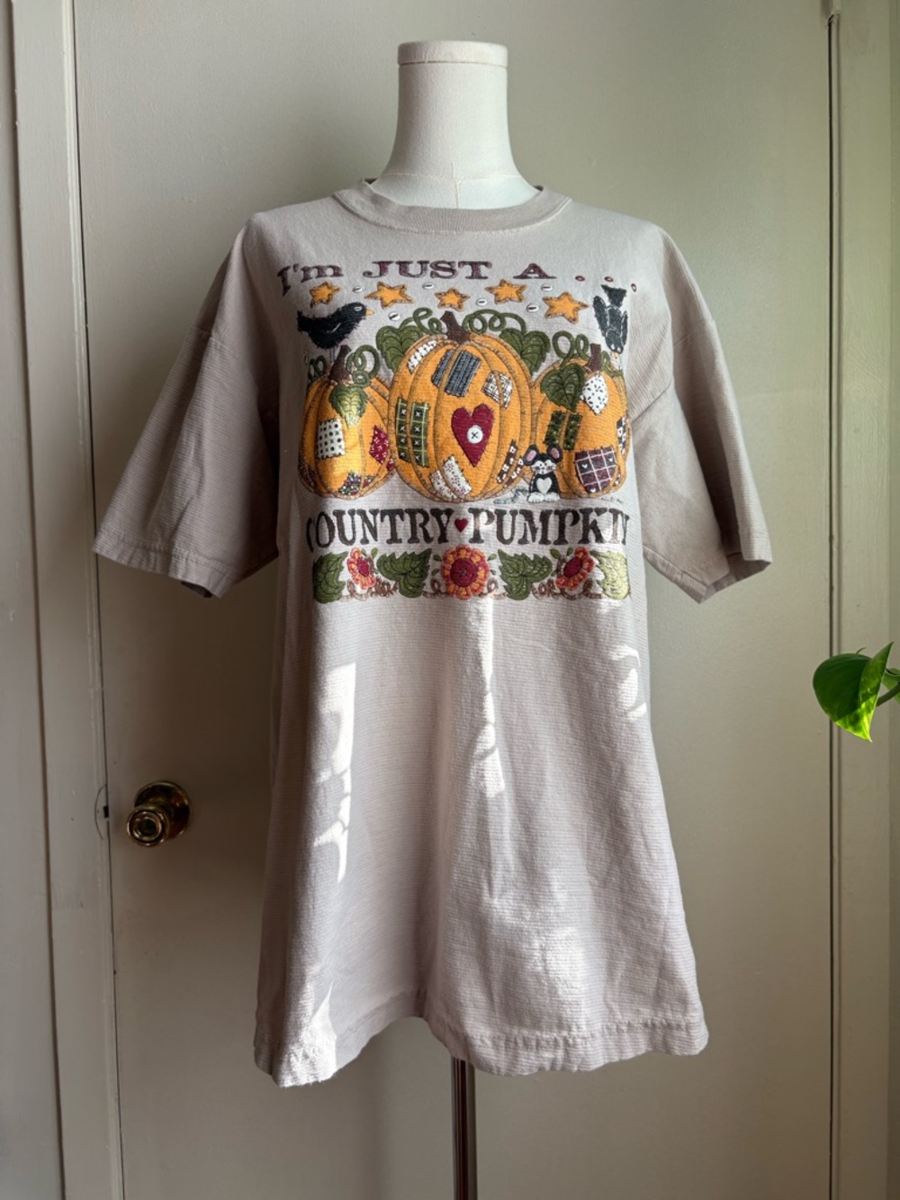 vintage 90s i'm just a country pumpkin beige t-shirt